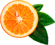 Una naranja con sus hojas